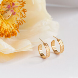 ‘Finesse’ Gold Hoop Earrings, Small